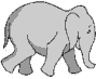 elefant imatges-animades-gif